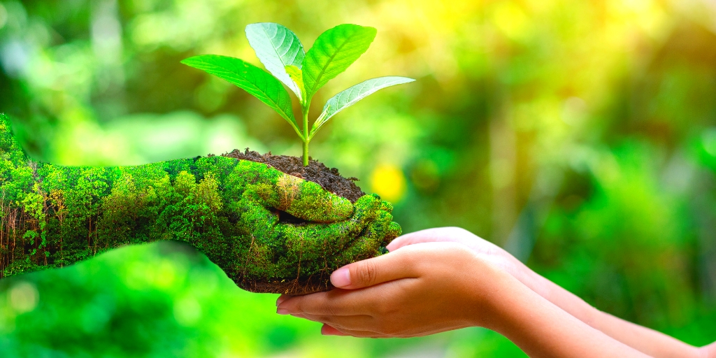 Mercado libre lanza categoria Eco Friendly