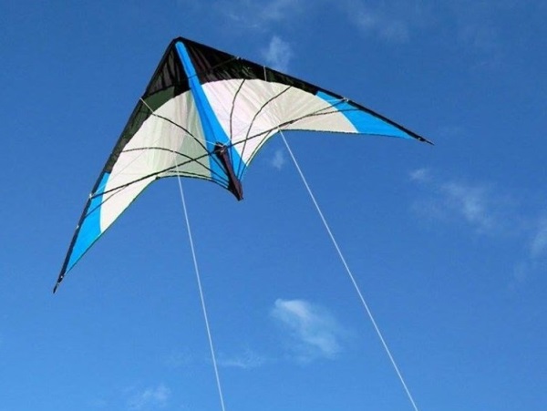 2020 08 05 fly zmiyi 2