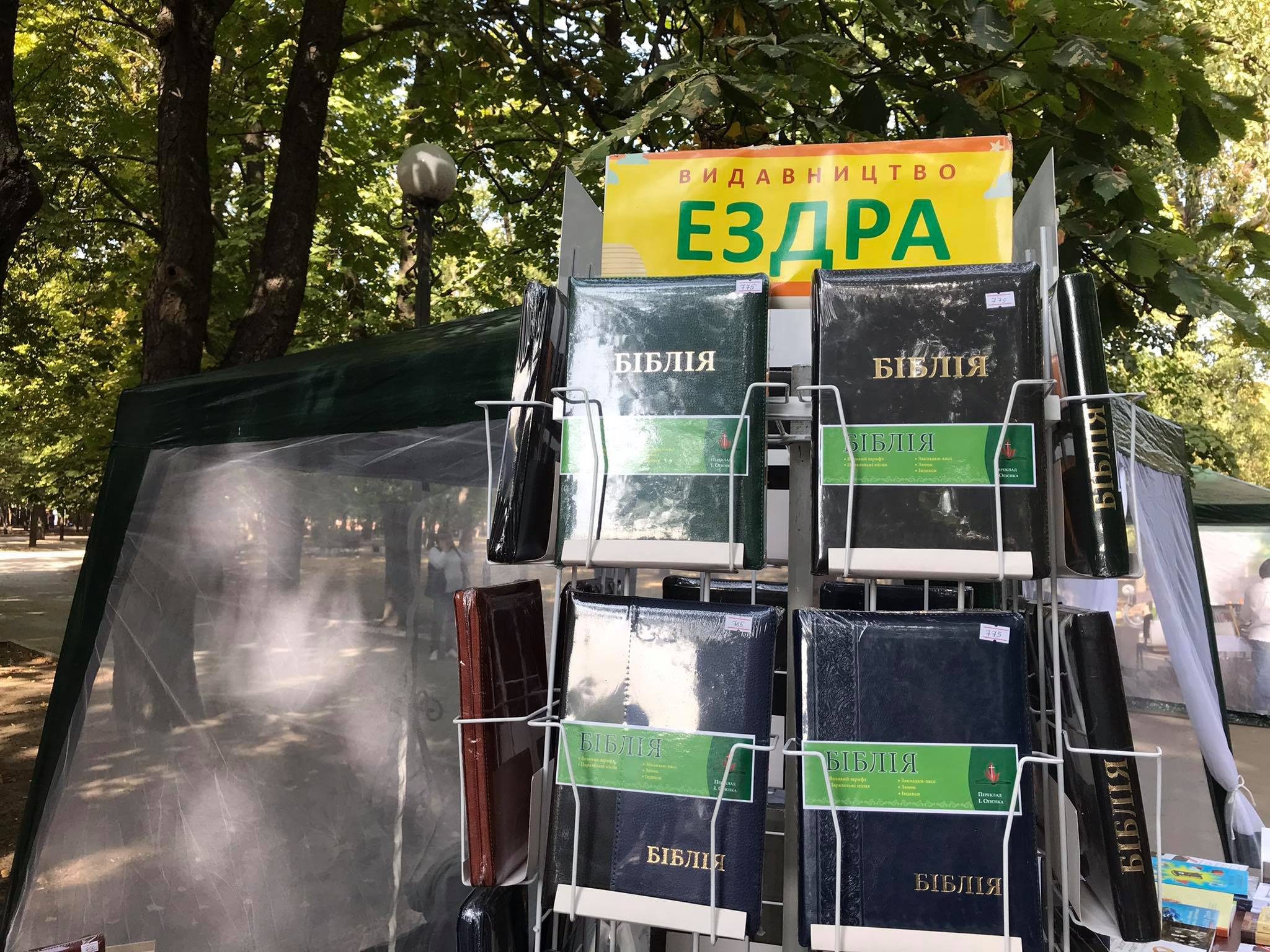 120096174 679012519664665 7747680413810663079 n