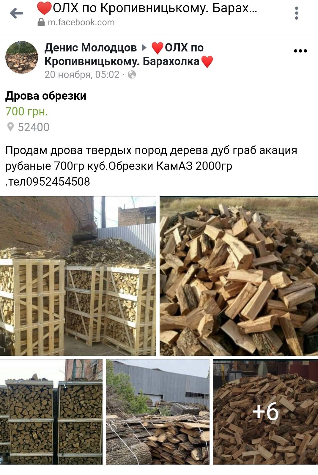 127134539 2726901557640532 9075549387816128937 o