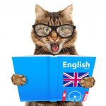 english