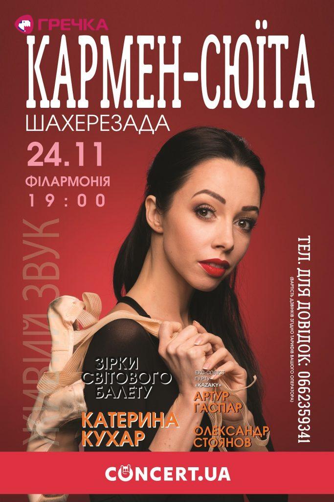 кухар Кропивницкий 120х180