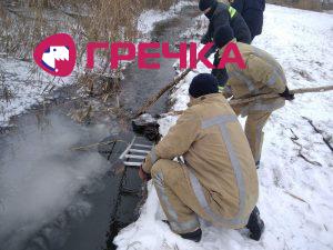 изображение viber 2021 01 20 15 50 21