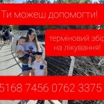 145963070 820710551849902 2067090098255021366 n