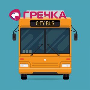 bus