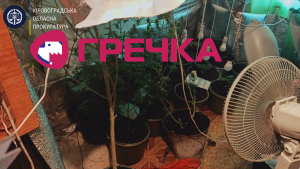 PROKURATURA KIROVOGRADSKOYI OBLASTI kopija kopija 24
