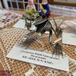 watermarked 160468436 2895121870712557 8072749128302668538 n