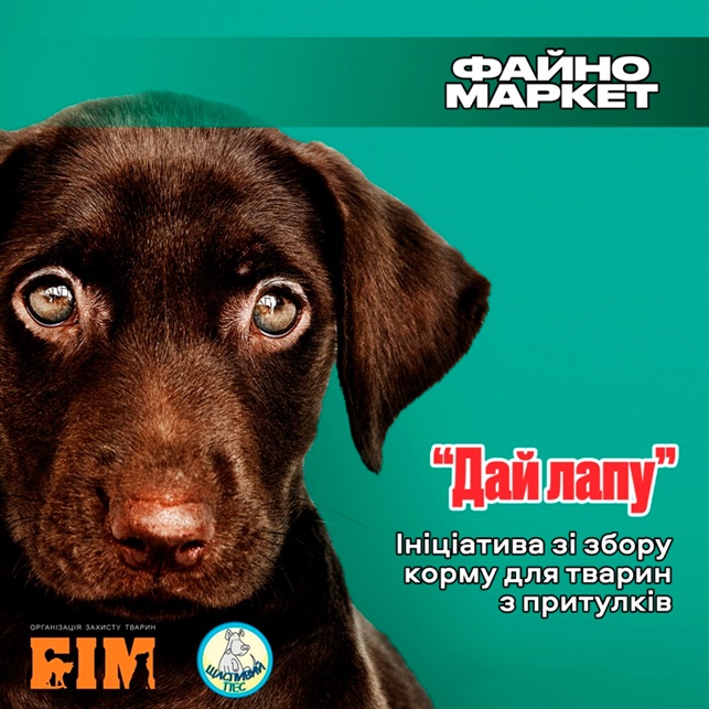 13 copy