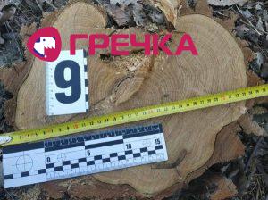 c3d5bcc8 07e0 4a42 8451 04461956c610