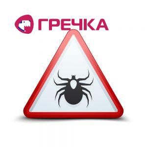klisch