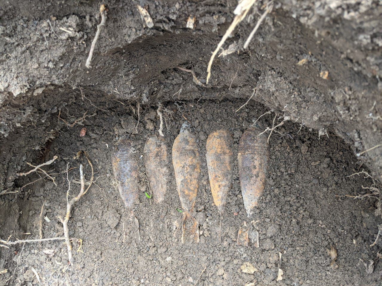 photo 2021 03 31 12 01 29