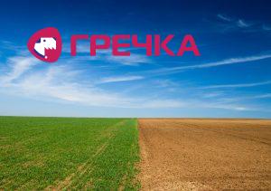 zemdilyanka