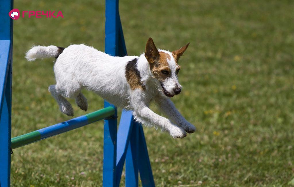 Depositphotos 41910977 l 2015