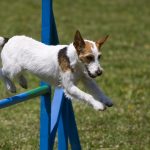 Depositphotos 41910977 l 2015