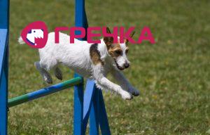 Depositphotos 41910977 l 2015