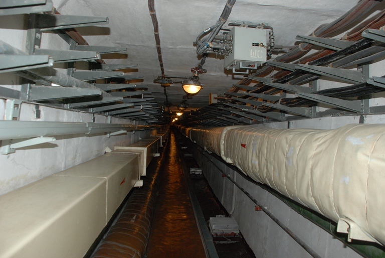 DSC 5465 1