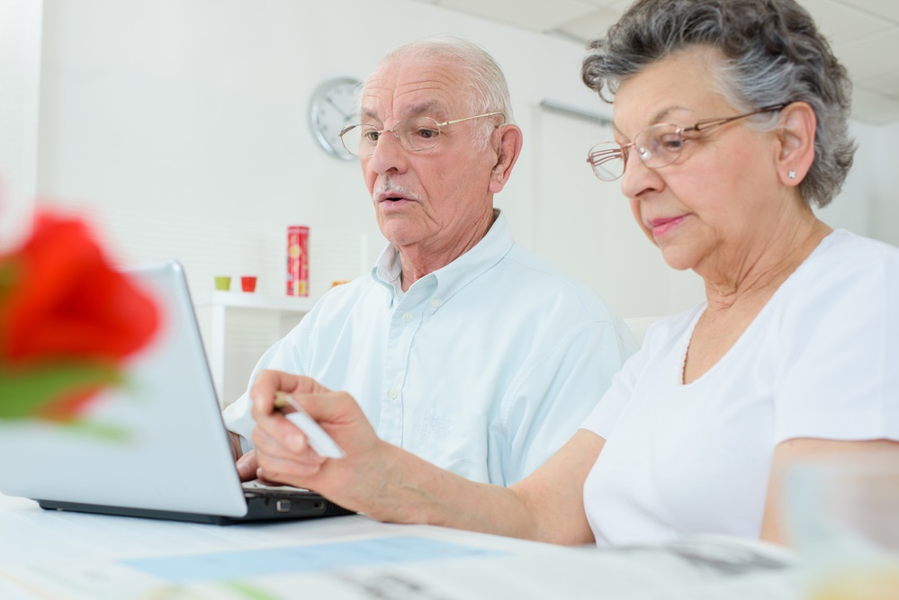 pensioneru copy