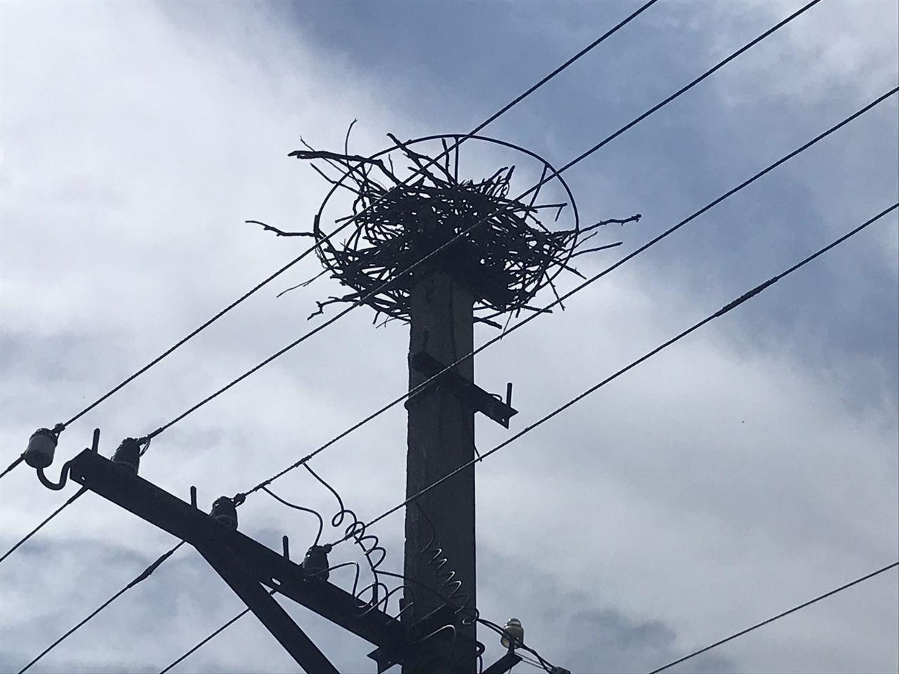 photo 2021 06 15 11 31 06