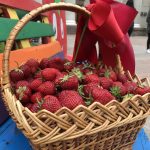 polunycia 1