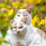 Depositphotos 313579842 s 2019