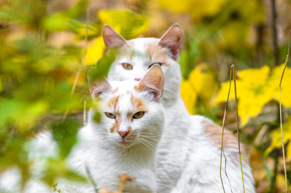 Depositphotos 313579842 s 2019