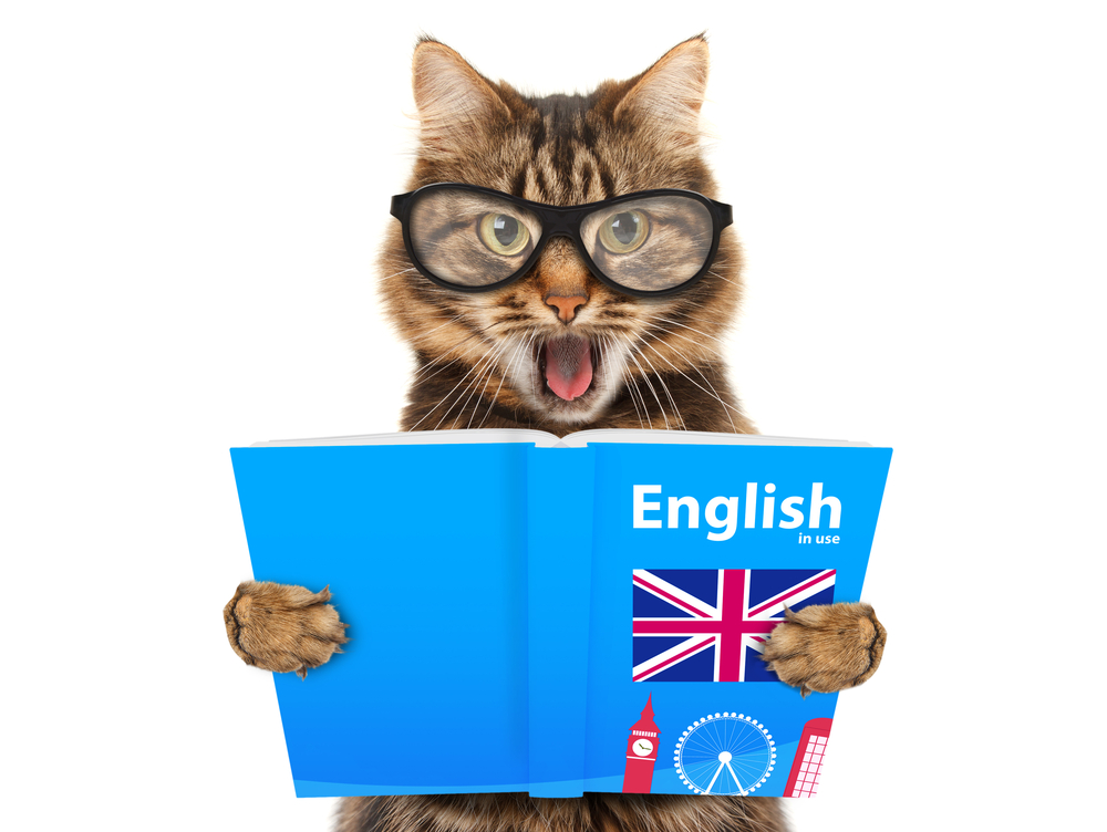 english