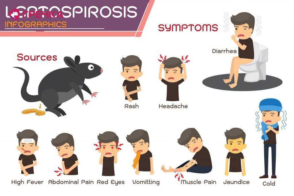 leptospiroz
