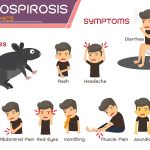 leptospiroz