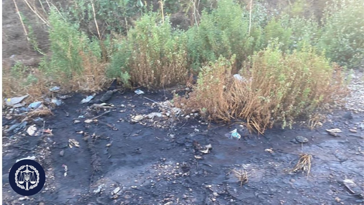 photo1626871667 2