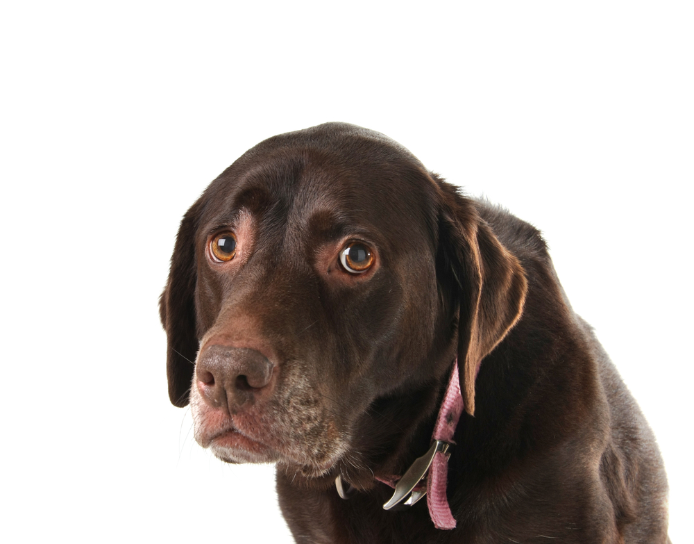 Depositphotos 11105998 s 2019