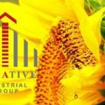 kreativ grupp 38689