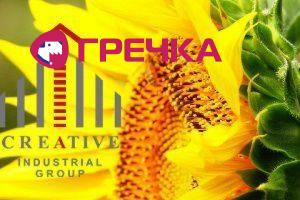 kreativ grupp 38689