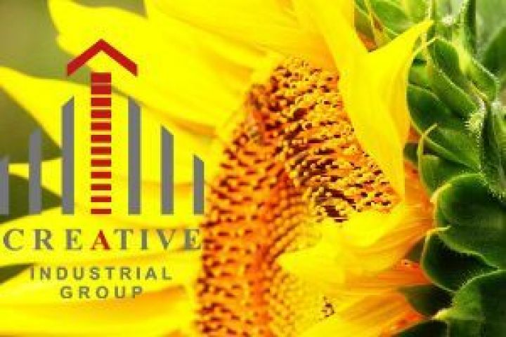kreativ grupp 38689