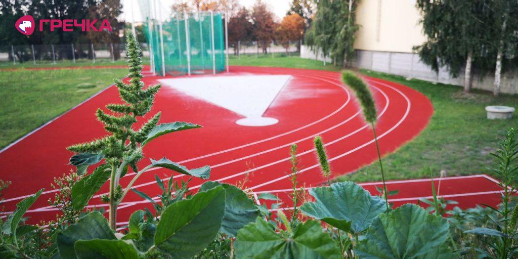 stadion 5