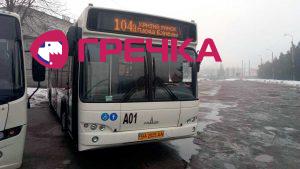 avtobus104