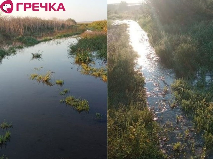Дизайн без назви копія