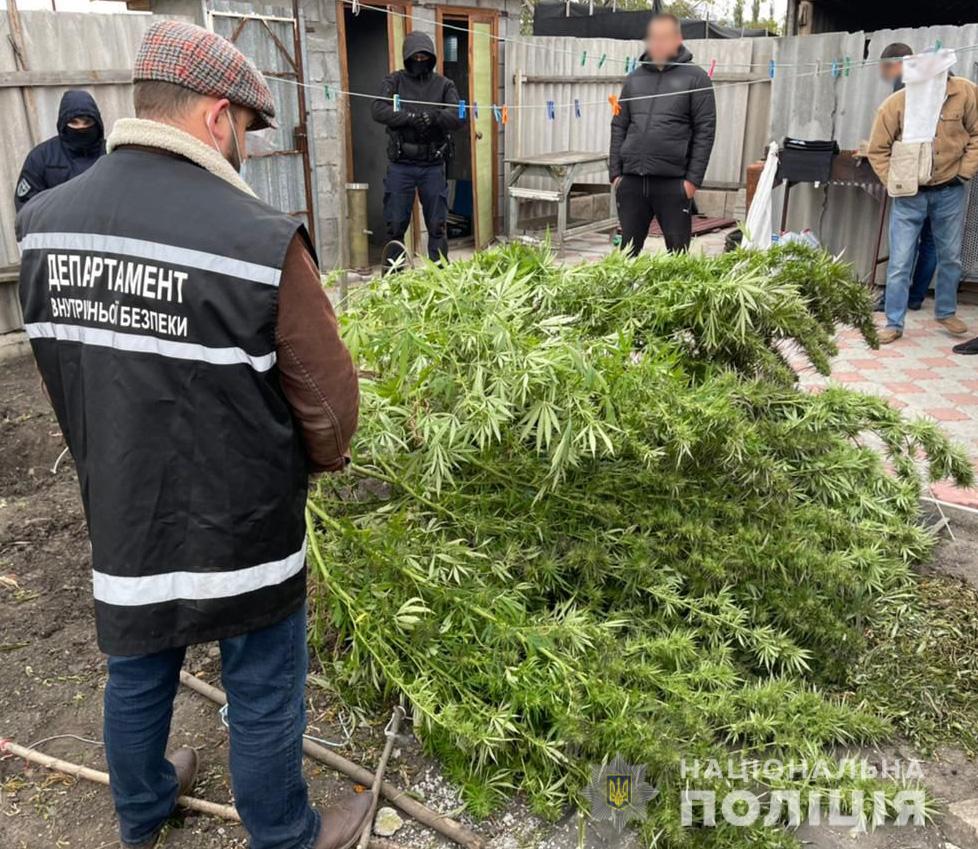 1 1 copy