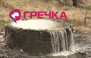 в