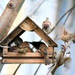 Depositphotos 22164611 S