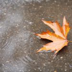 Depositphotos 57586829 S