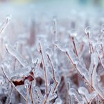 Depositphotos 6610131 S