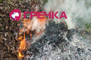 syhelustya