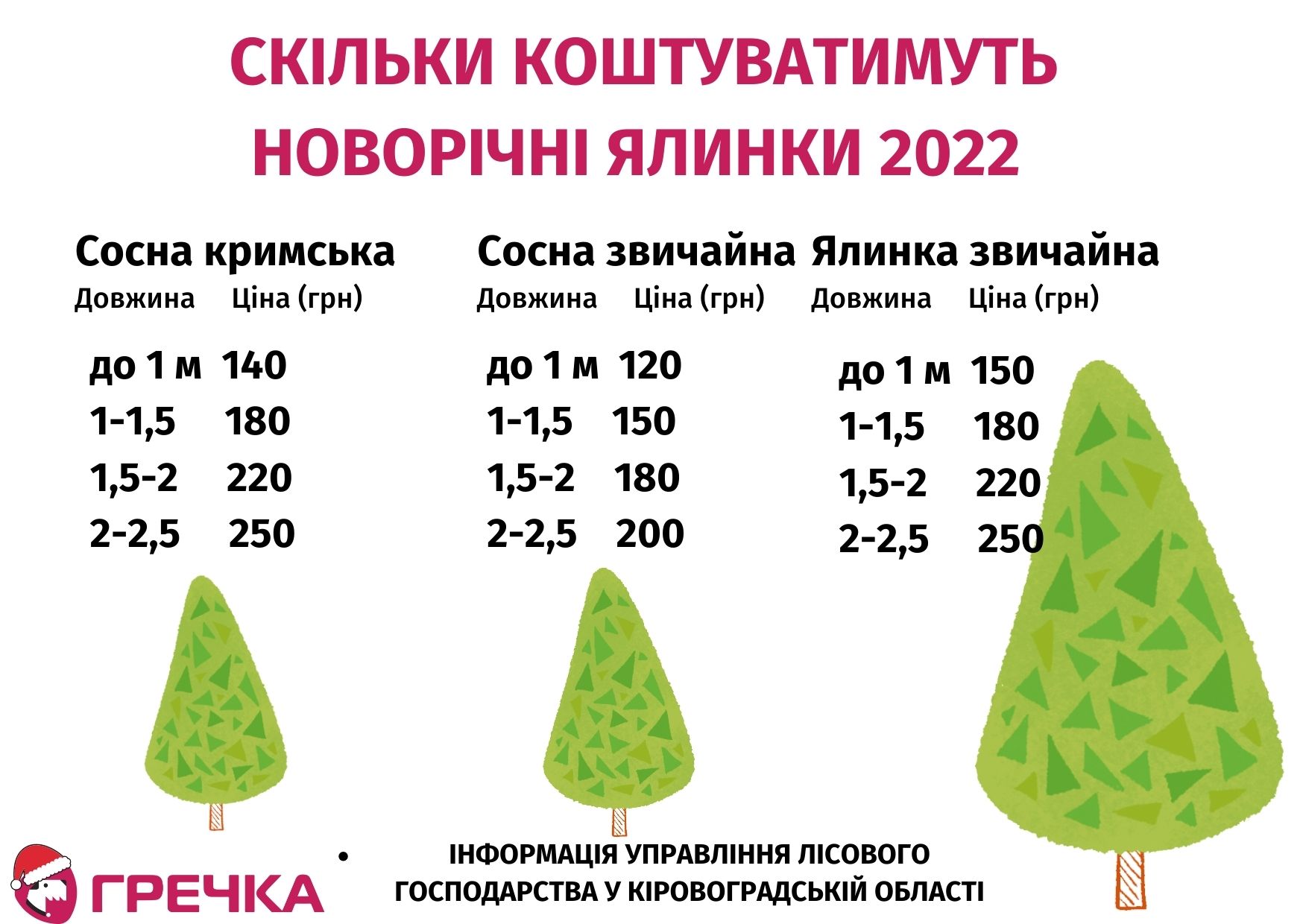 263985063 650876452580513 922934233299911984 n