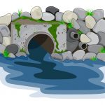 zabrudnennja vod