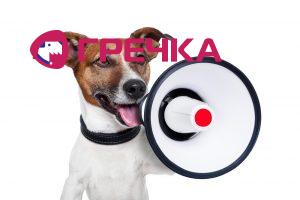 uvaga