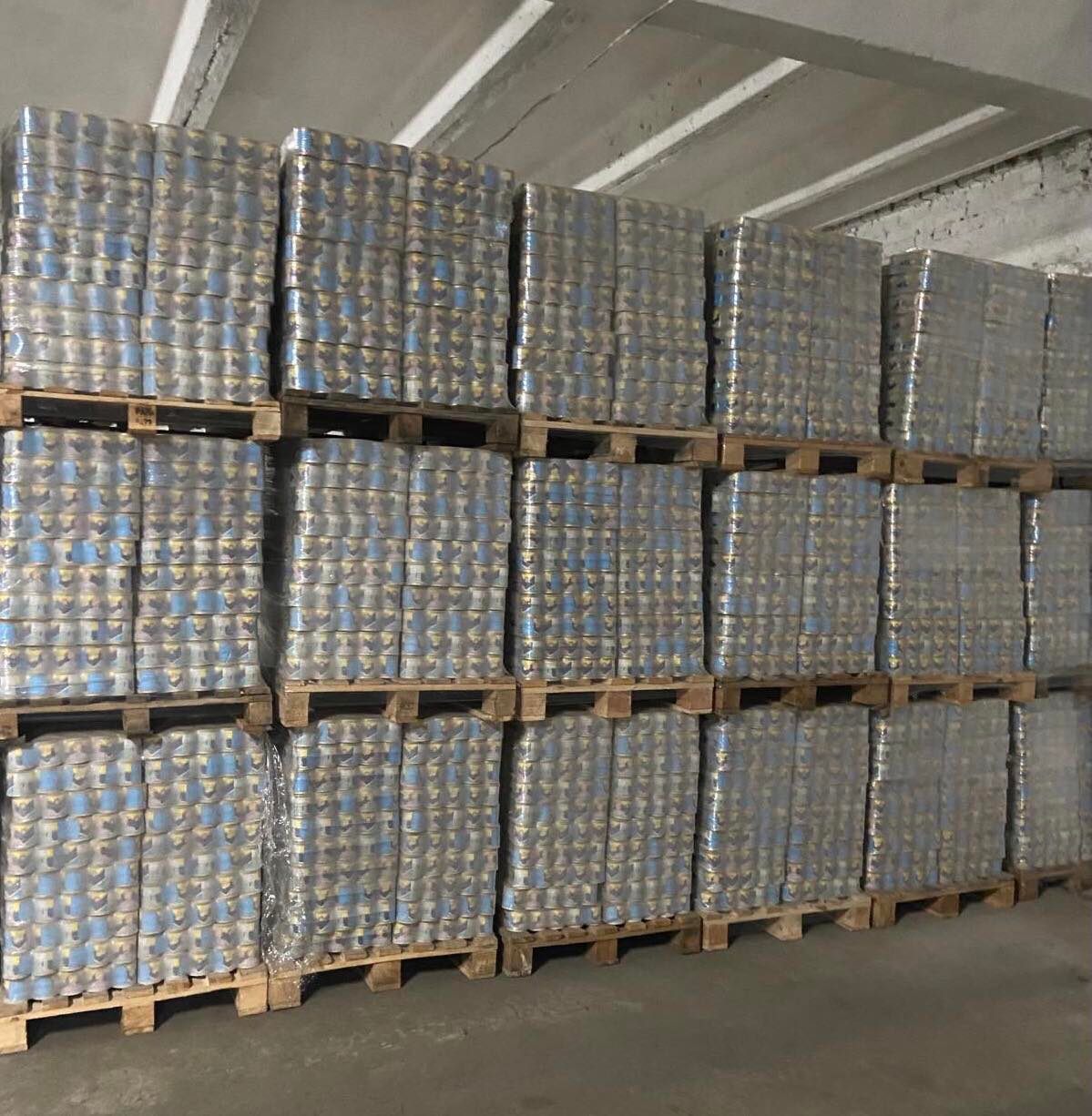 274664388 5163562980360946 7807655748327528629 n
