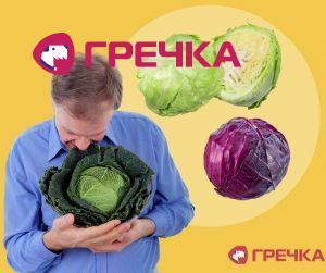 kapusta