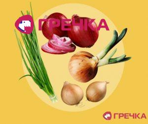 zubulja