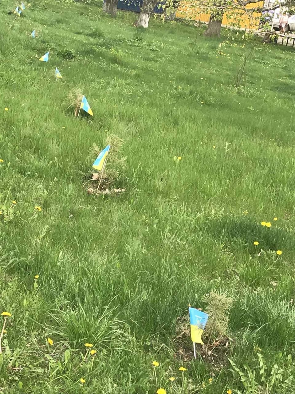 278882386 986095412110203 8454043927699346372 n