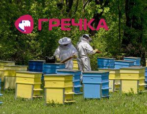 pasika